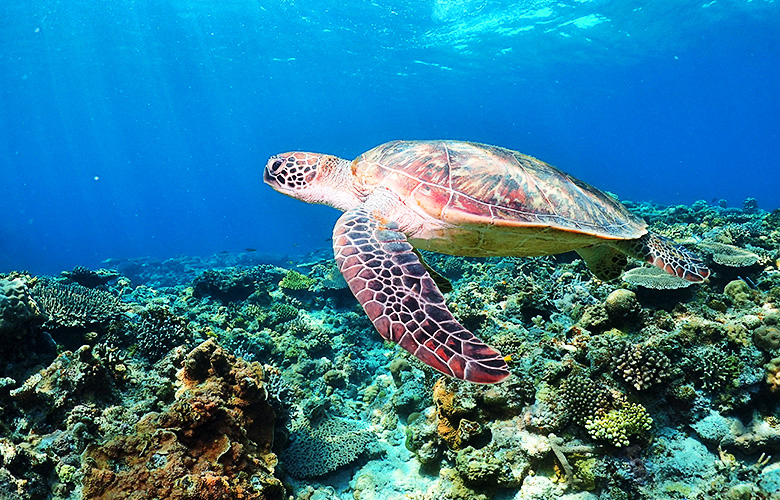 おすすめスポットや飲食店についてお気軽にお尋ねください